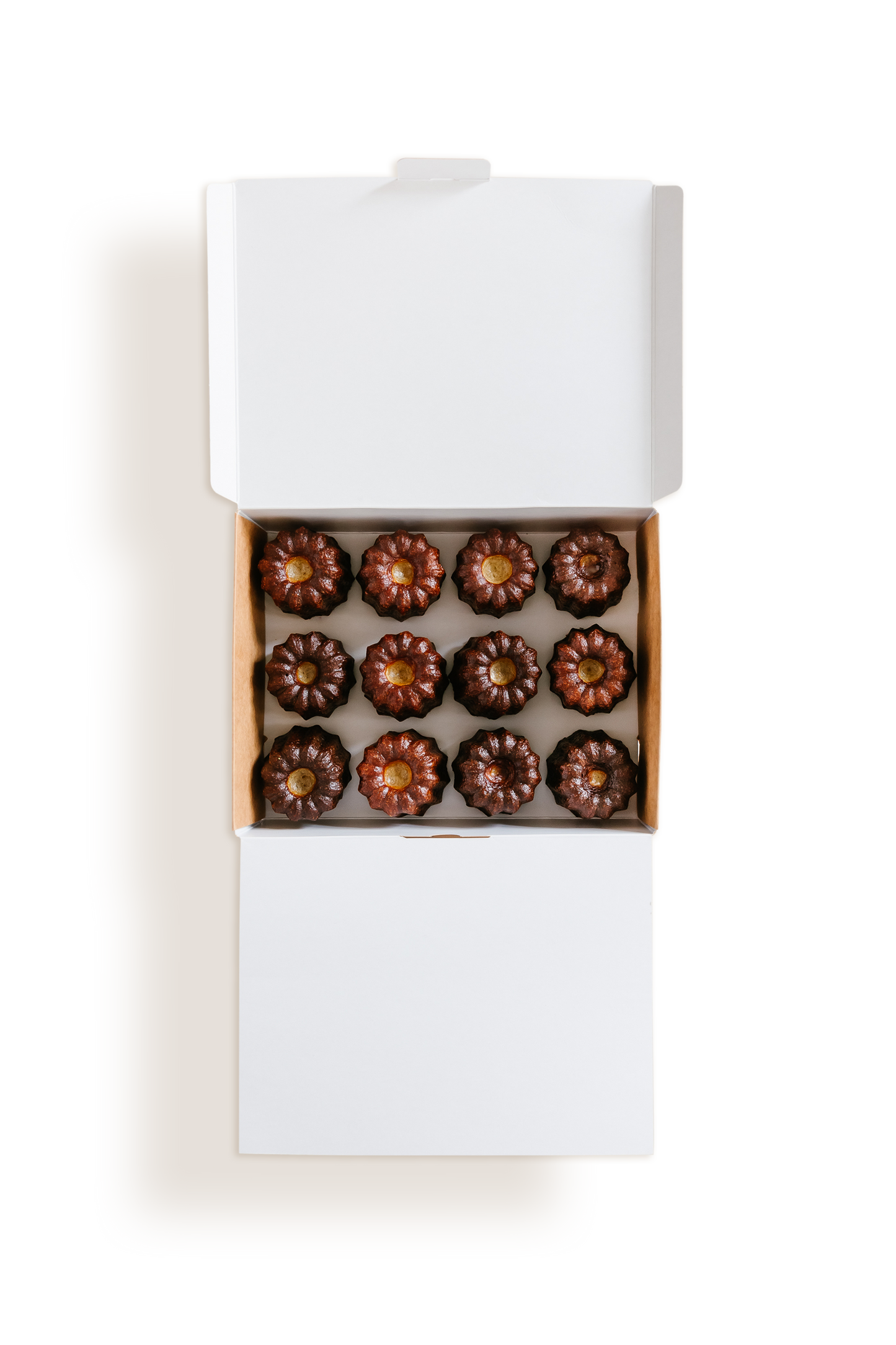 box of 12 classic